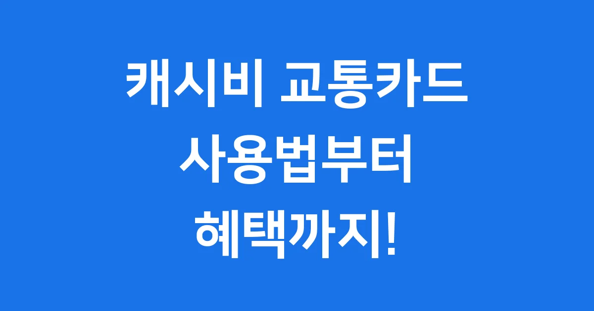 캐시비 교통카드 사용법 종류 혜택